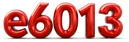 e6013 logo